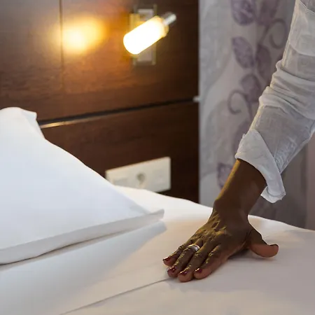 Hotel Urban Style, Le Cheval Noir, Saint-etienne 3*